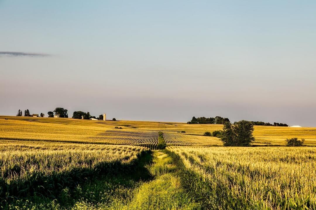 #7. Iowa